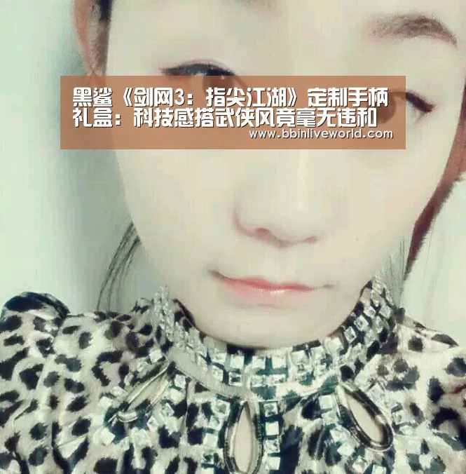 黑鲨《剑网3：指尖江湖》定制手柄礼盒：科技感搭武侠风竟毫无违