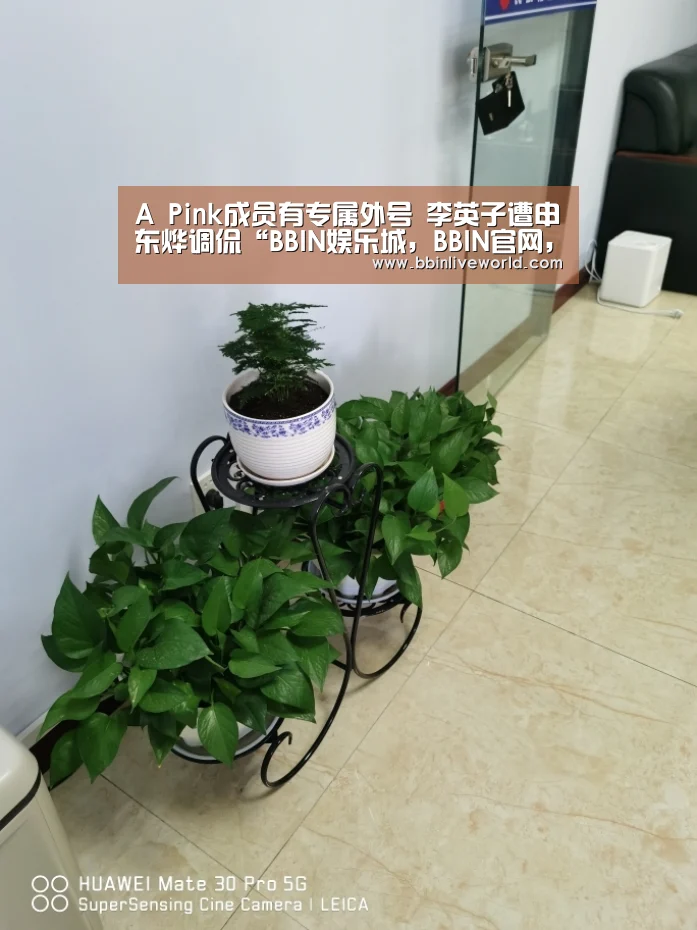 A Pink成员有专属外号 李英子遭申东烨调侃“BBIN娱乐城,BBIN官网,BBIN电竞,BBIN百家乐”(图1) BBIN娱乐城,BBIN官网,BBIN电竞,BBIN百家乐