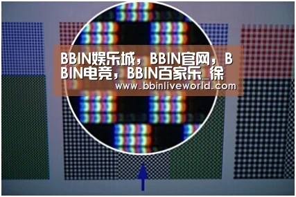 BBIN娱乐城，BBIN官网，BBIN电竞，BBIN百家乐