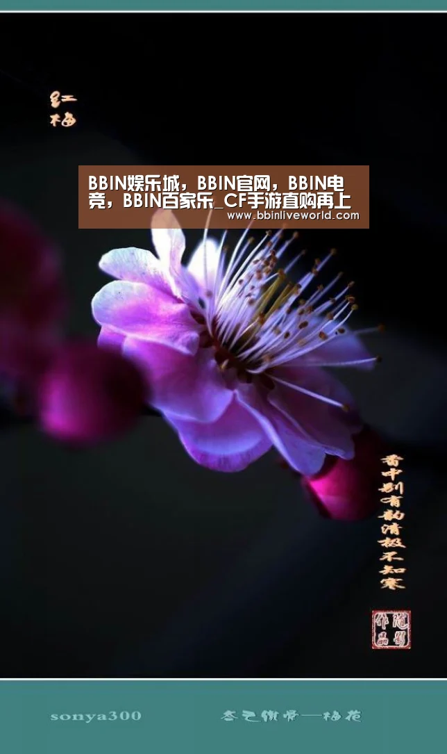 BBIN娱乐城,BBIN官网,BBIN电竞,BBIN百家乐_CF手游直购再上赏金令积分卡 小黄枪突击手已经就位(图2) BBIN娱乐城,BBIN官网,BBIN电竞,BBIN百家乐