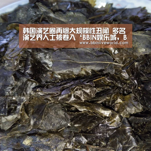 BBIN娱乐城，BBIN官网，BBIN电竞，BBIN百家乐
