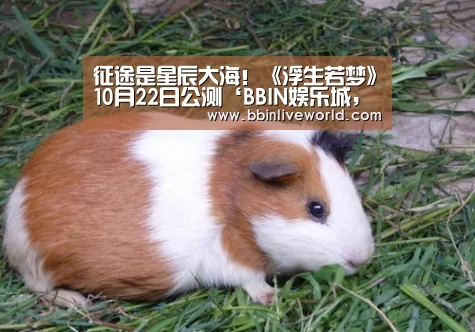 征途是星辰大海!《浮生若梦》10月22日公测‘BBIN娱乐城,BBIN官网,BBIN电竞,BBIN百家乐’(图2) BBIN娱乐城,BBIN官网,BBIN电竞,BBIN百家乐