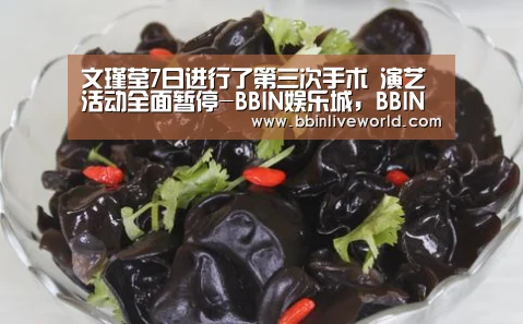 文瑾莹7日进行了第三次手术 演艺活动全面暂停-BBIN娱乐城,BBIN官网,BBIN电竞,BBIN百家乐(图1) BBIN娱乐城,BBIN官网,BBIN电竞,BBIN百家乐